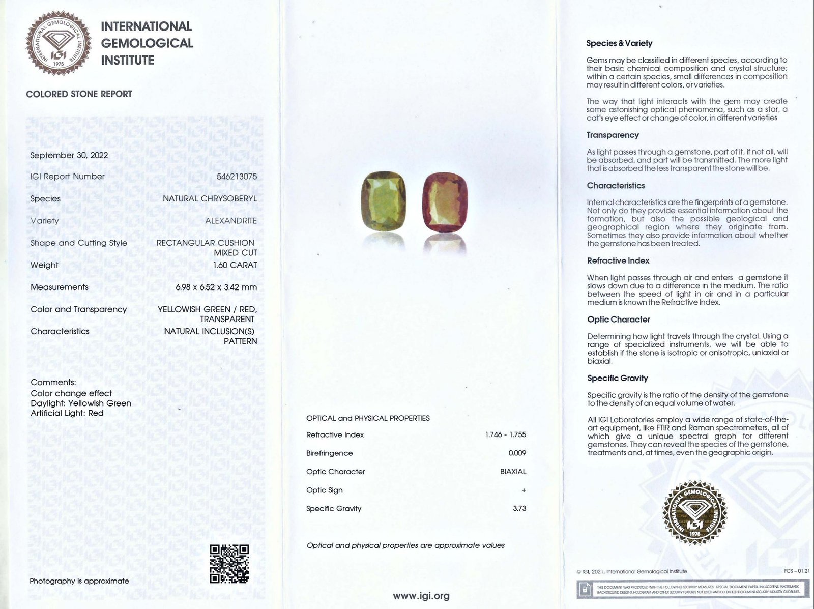 IGI (International Gemological Institute) Certificate Sample
